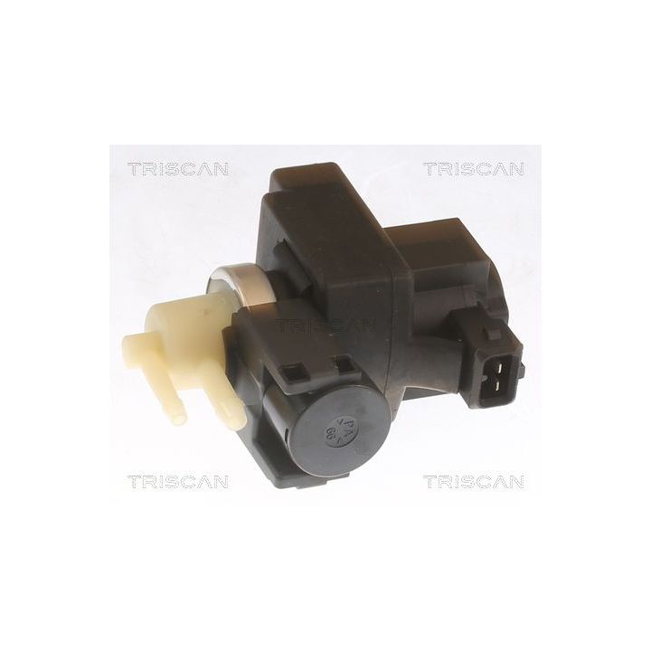 Slegio keitiklis, išmetimo valdymas TRISCAN 8813 43053