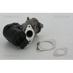 ERG vožtuvas TRISCAN 8813 10001