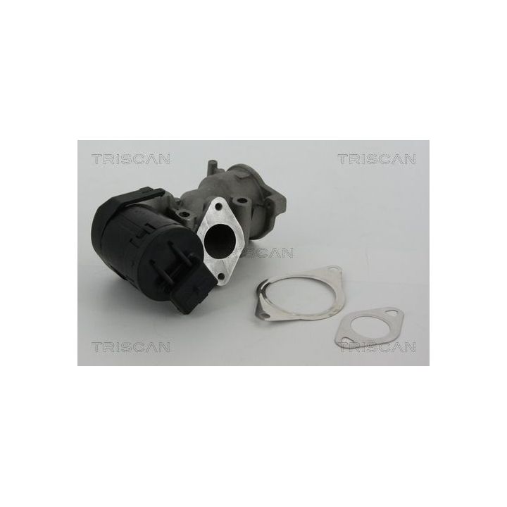 ERG vožtuvas TRISCAN 8813 10001