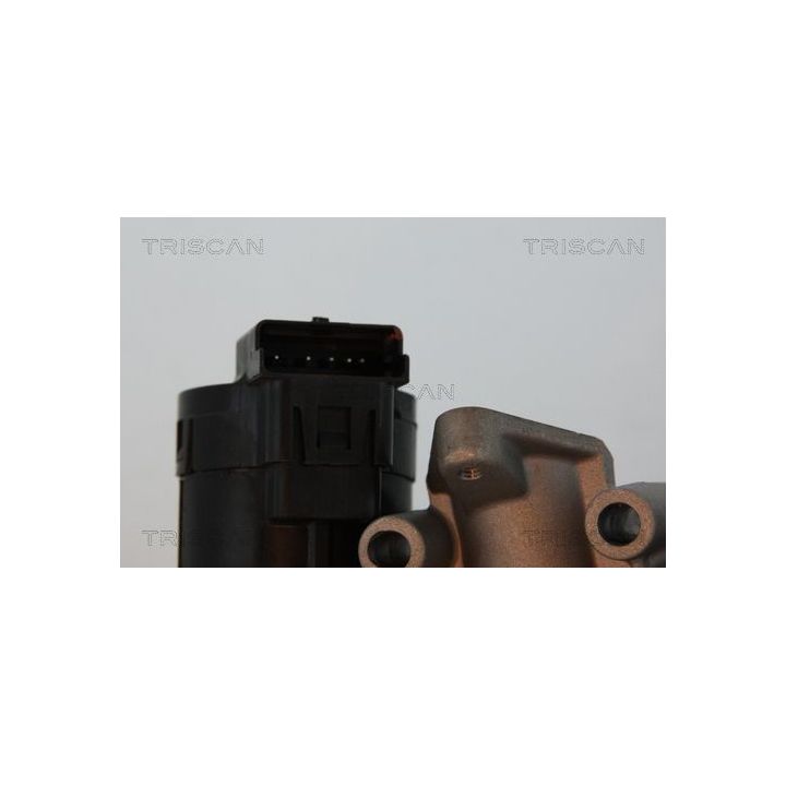 ERG vožtuvas TRISCAN 8813 10001