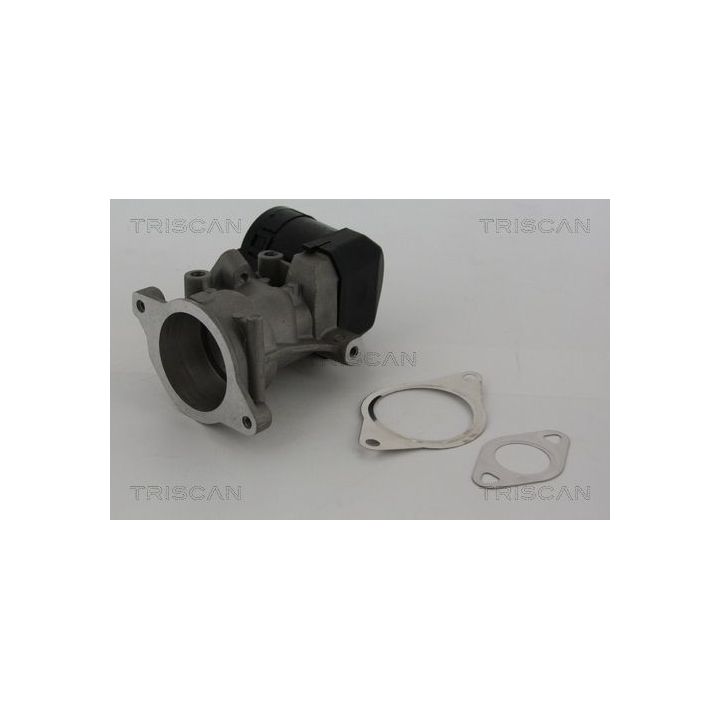 ERG vožtuvas TRISCAN 8813 10001