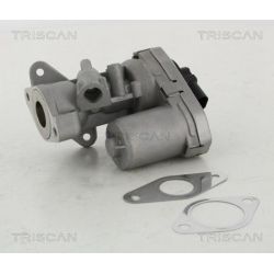 ERG vožtuvas TRISCAN 8813 10002