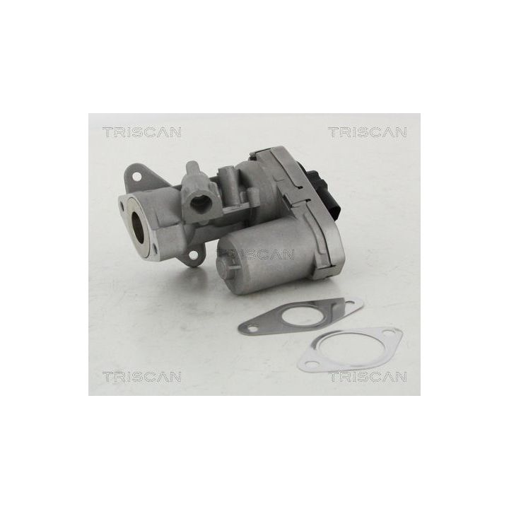 ERG vožtuvas TRISCAN 8813 10002