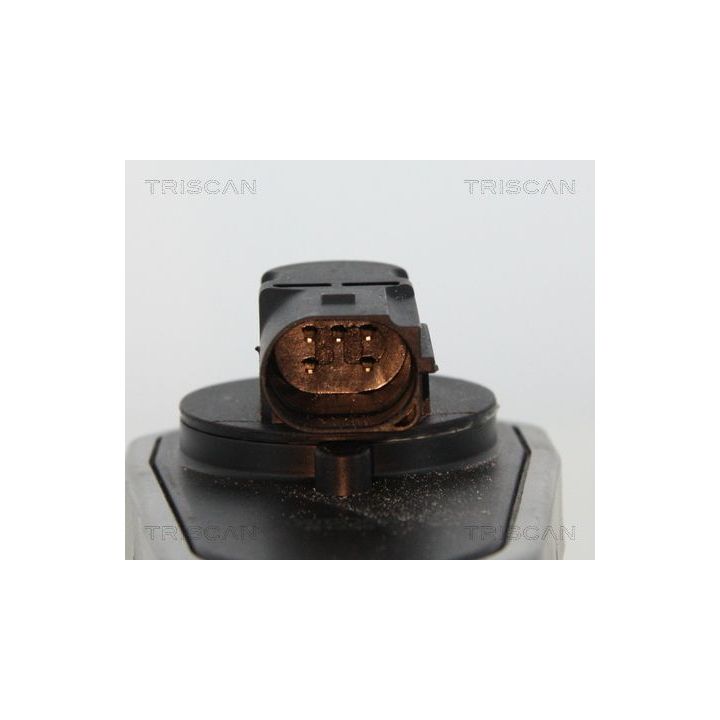 ERG vožtuvas TRISCAN 8813 10002