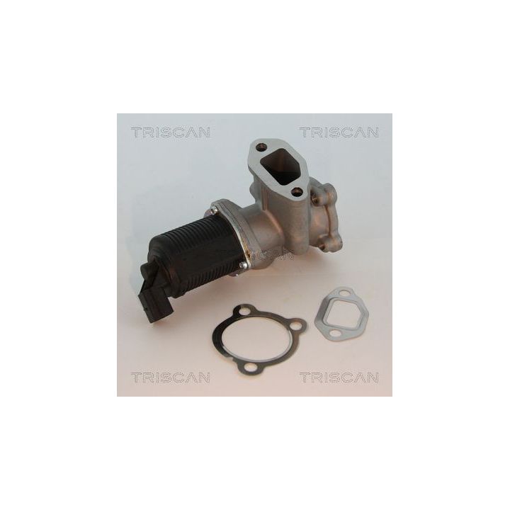 ERG vožtuvas TRISCAN 8813 10003