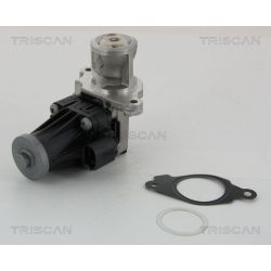 ERG vožtuvas TRISCAN 8813 10004