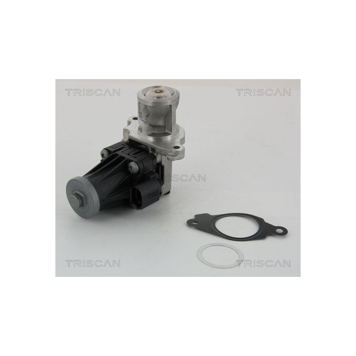 ERG vožtuvas TRISCAN 8813 10004