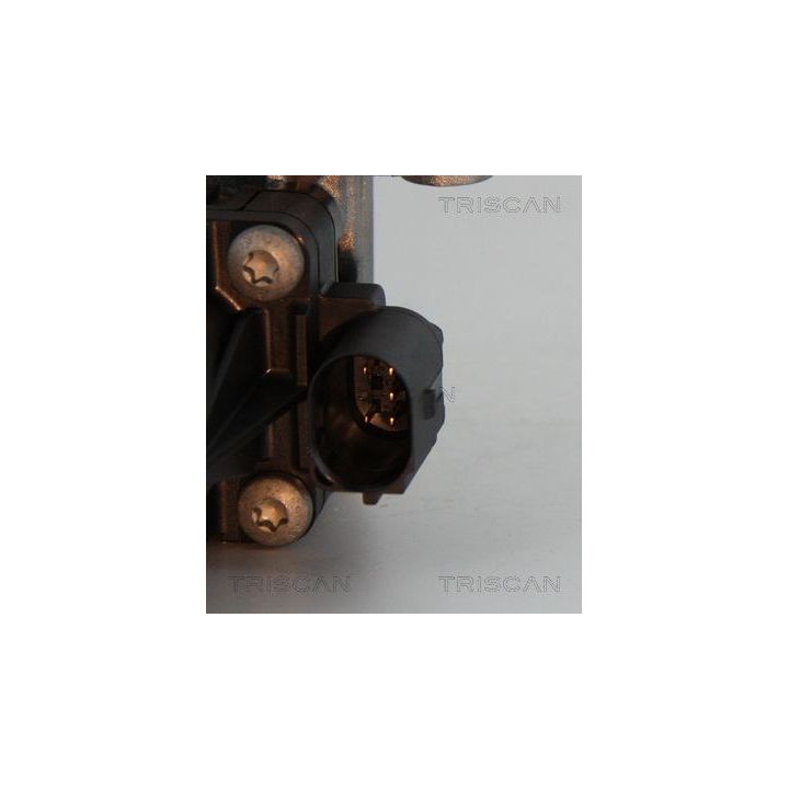 ERG vožtuvas TRISCAN 8813 10004
