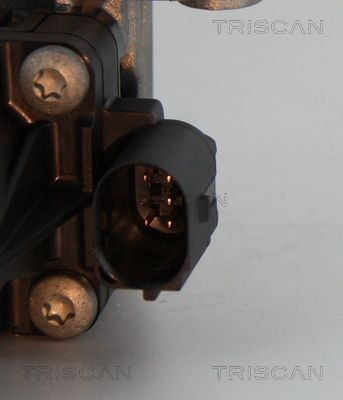 ERG vožtuvas TRISCAN 8813 10004