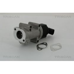 ERG vožtuvas TRISCAN 8813 10005