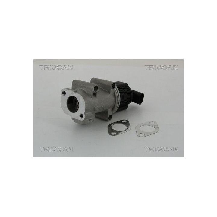 ERG vožtuvas TRISCAN 8813 10005