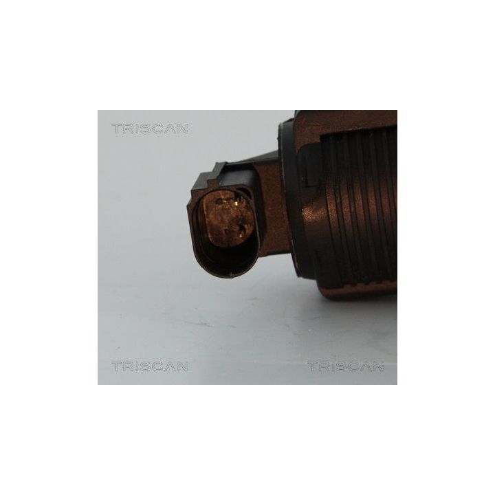 ERG vožtuvas TRISCAN 8813 10005
