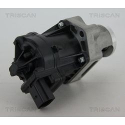 ERG vožtuvas TRISCAN 8813 10006