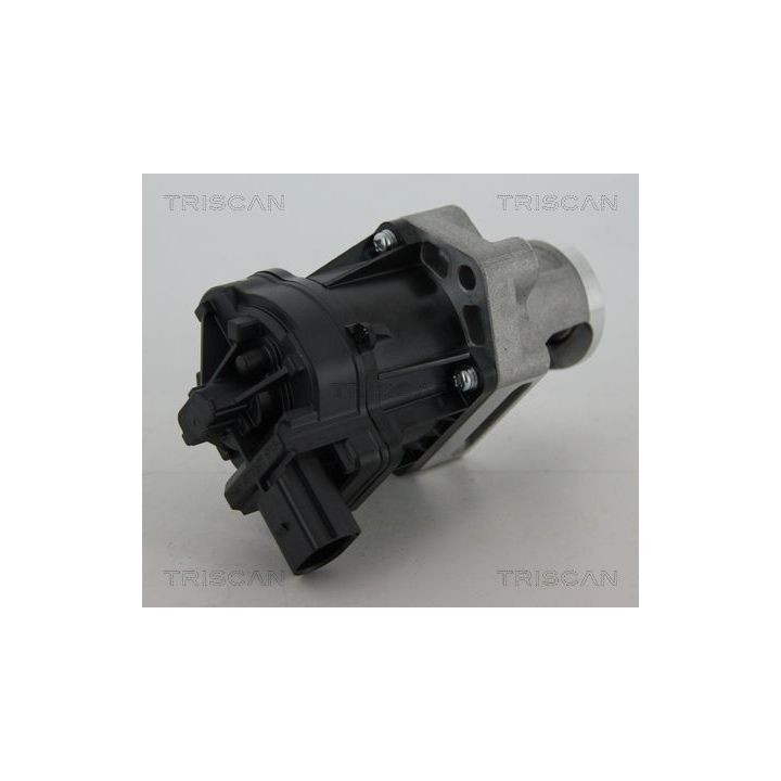 ERG vožtuvas TRISCAN 8813 10006