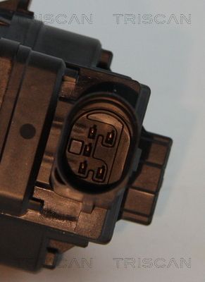 ERG vožtuvas TRISCAN 8813 10006