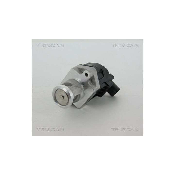 ERG vožtuvas TRISCAN 8813 10006