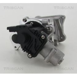 ERG vožtuvas TRISCAN 8813 10007