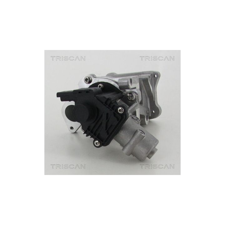 ERG vožtuvas TRISCAN 8813 10007