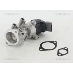 ERG vožtuvas TRISCAN 8813 10009