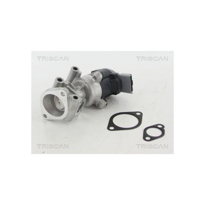 ERG vožtuvas TRISCAN 8813 10009