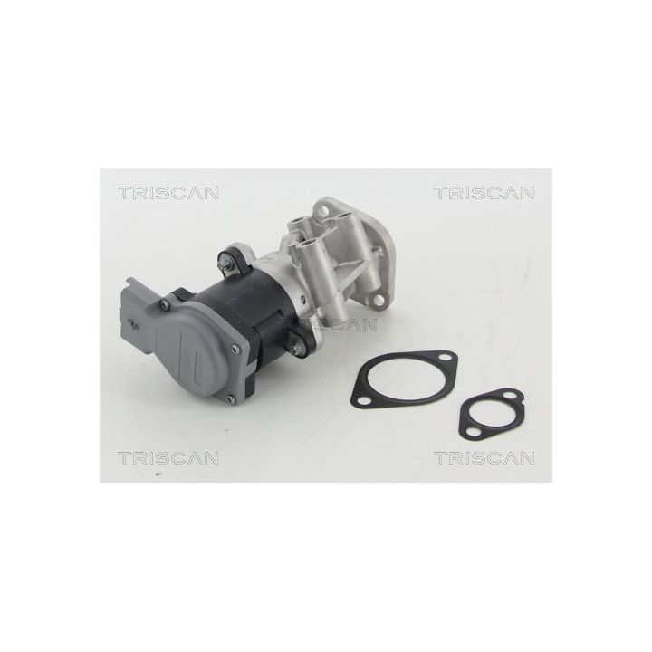 ERG vožtuvas TRISCAN 8813 10009