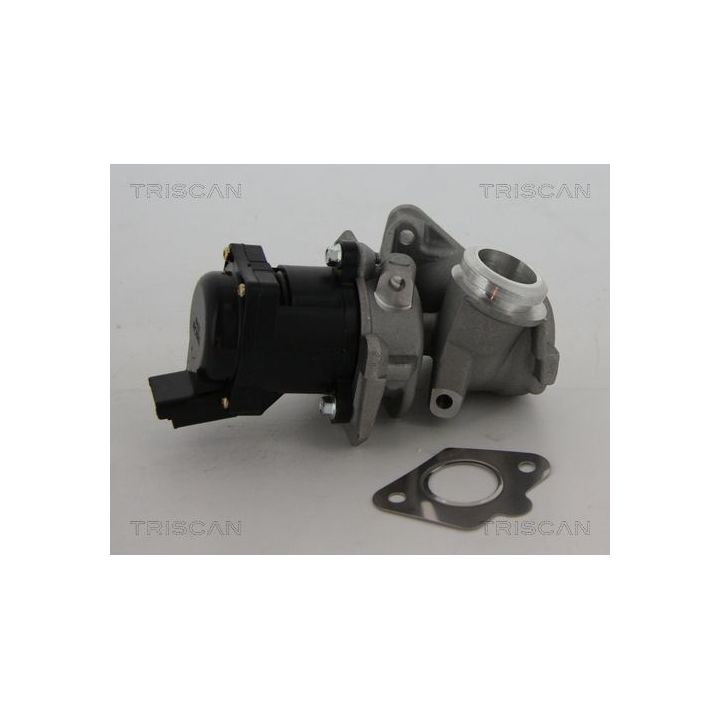 ERG vožtuvas TRISCAN 8813 10010