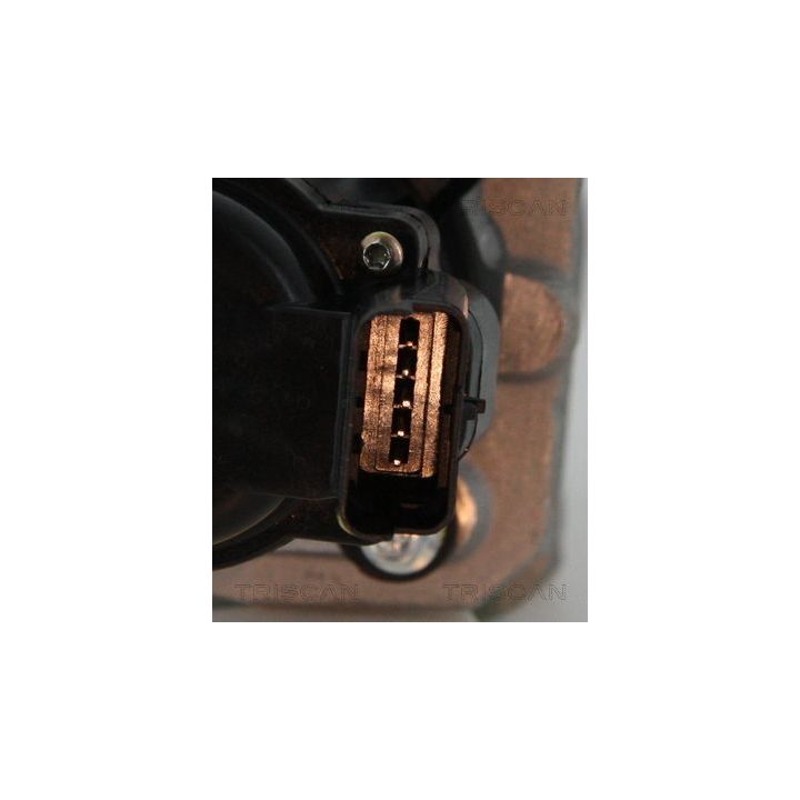 ERG vožtuvas TRISCAN 8813 10010