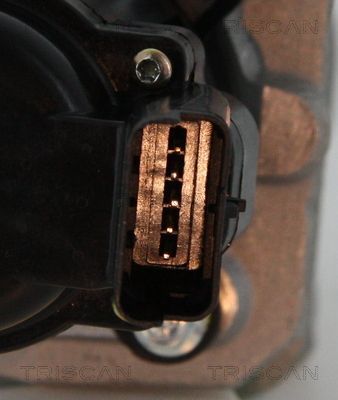 ERG vožtuvas TRISCAN 8813 10010