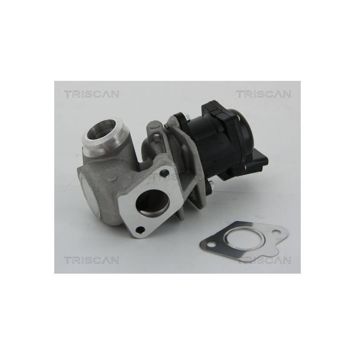 ERG vožtuvas TRISCAN 8813 10010