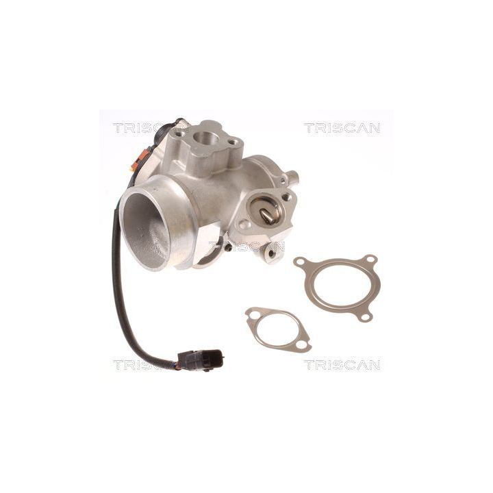 ERG vožtuvas TRISCAN 8813 10012