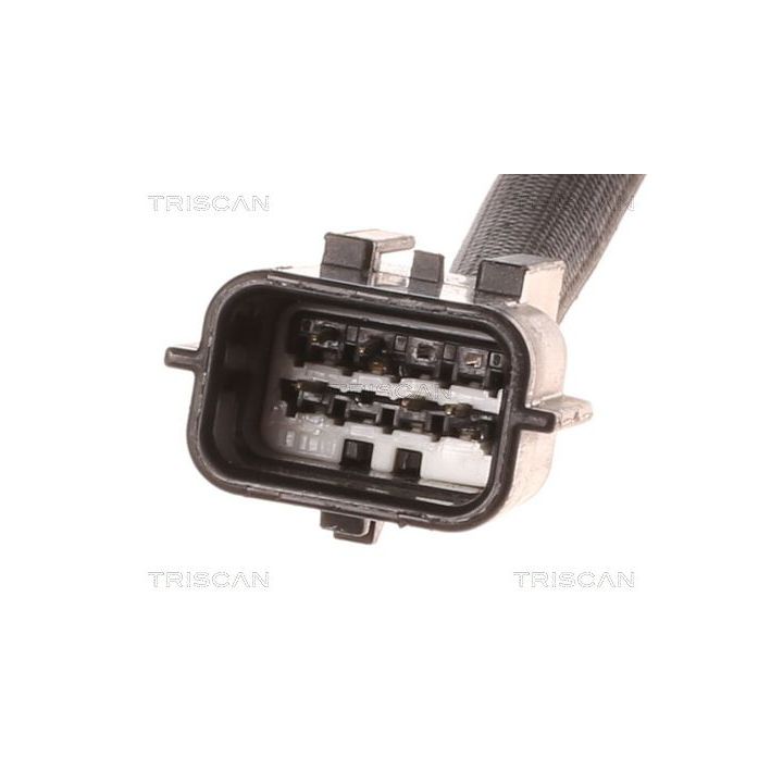 ERG vožtuvas TRISCAN 8813 10012