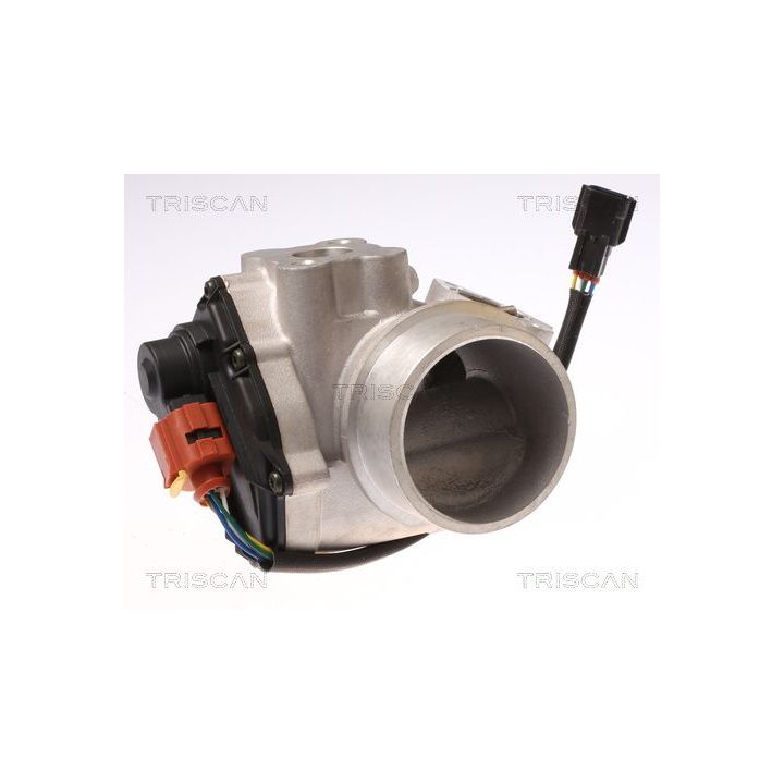 ERG vožtuvas TRISCAN 8813 10012