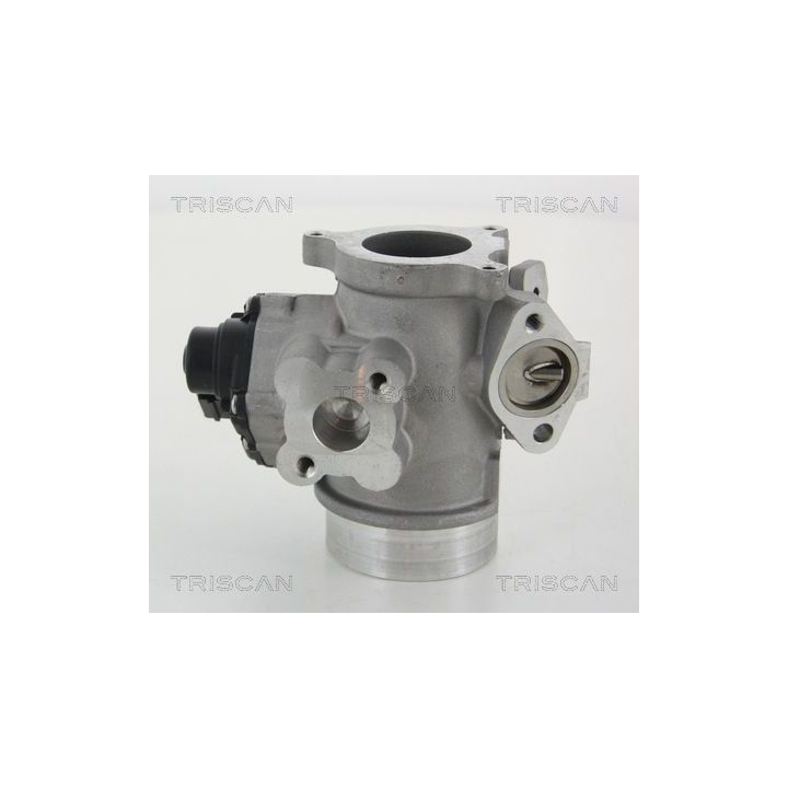 ERG vožtuvas TRISCAN 8813 10012