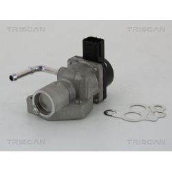 ERG vožtuvas TRISCAN 8813 10014