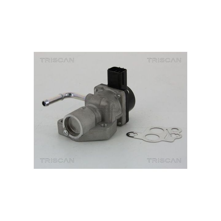 ERG vožtuvas TRISCAN 8813 10014