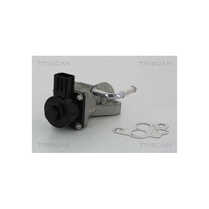 ERG vožtuvas TRISCAN 8813 10014