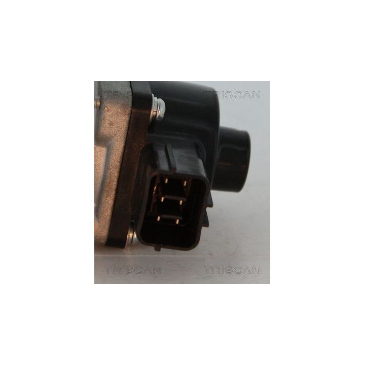 ERG vožtuvas TRISCAN 8813 10014