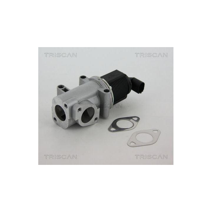 ERG vožtuvas TRISCAN 8813 10015