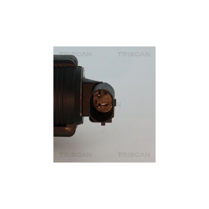 ERG vožtuvas TRISCAN 8813 10015