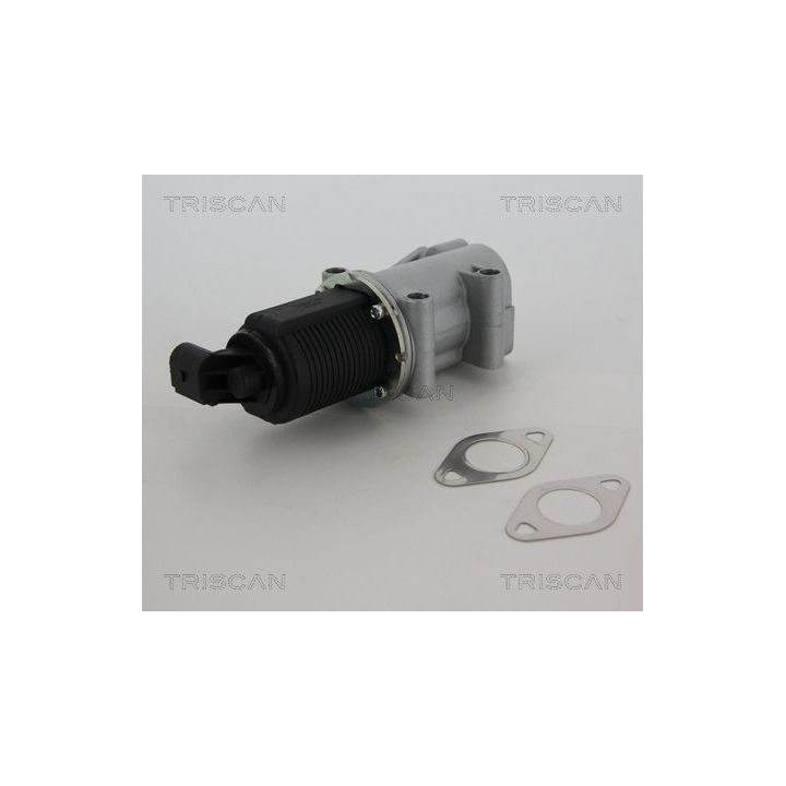 ERG vožtuvas TRISCAN 8813 10015