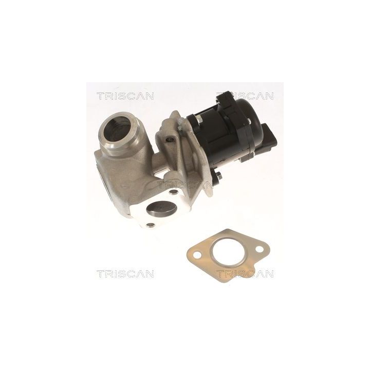 ERG vožtuvas TRISCAN 8813 10018