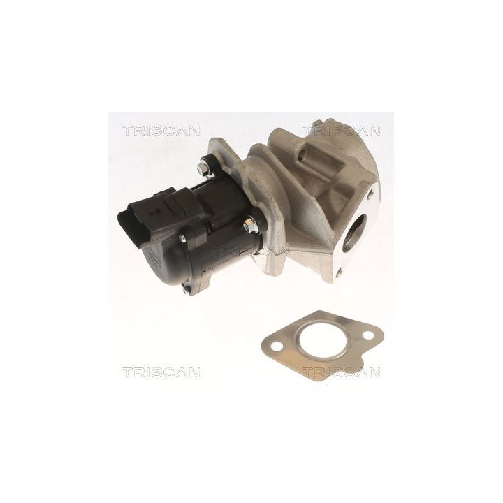 ERG vožtuvas TRISCAN 8813 10018