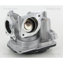 ERG vožtuvas TRISCAN 8813 10031