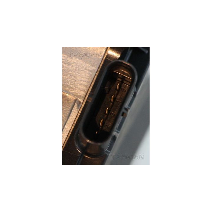 ERG vožtuvas TRISCAN 8813 10031