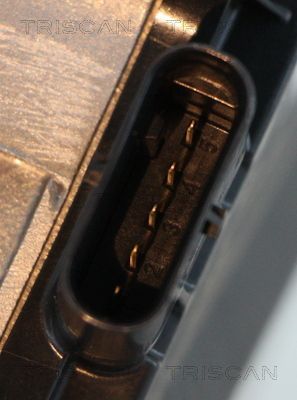 ERG vožtuvas TRISCAN 8813 10031