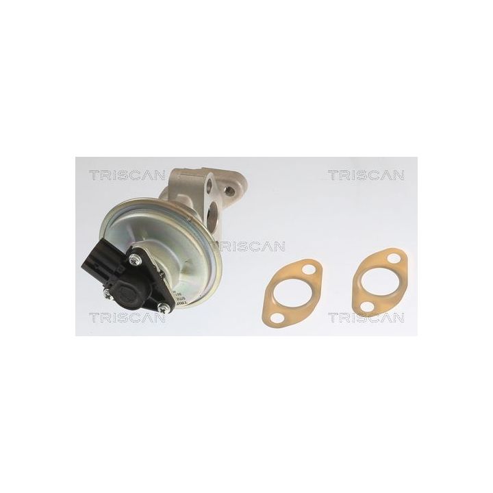 ERG vožtuvas TRISCAN 8813 10054