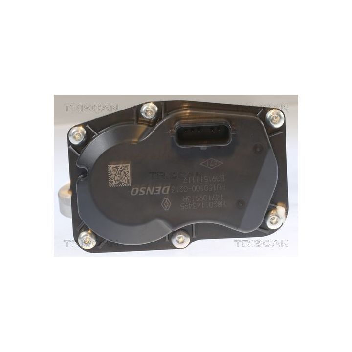ERG vožtuvas TRISCAN 8813 10055