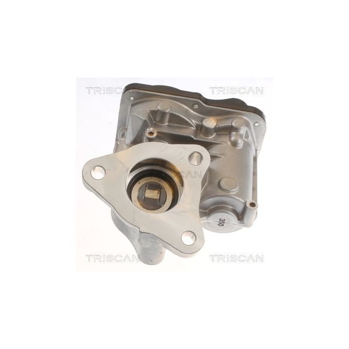 ERG vožtuvas TRISCAN 8813 10055