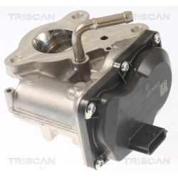 ERG vožtuvas TRISCAN 8813 10116