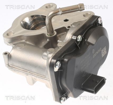 ERG vožtuvas TRISCAN 8813 10116